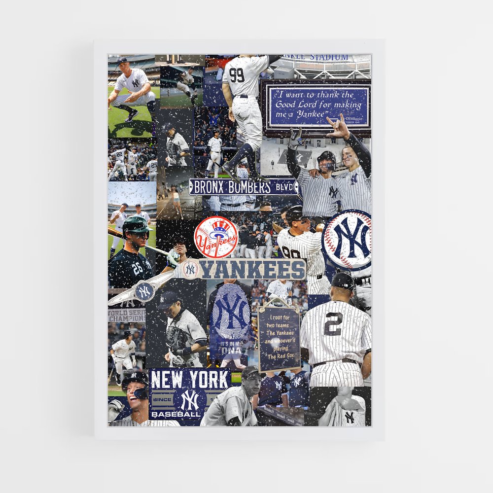 Poster La Passion du Baseball (vue 3)